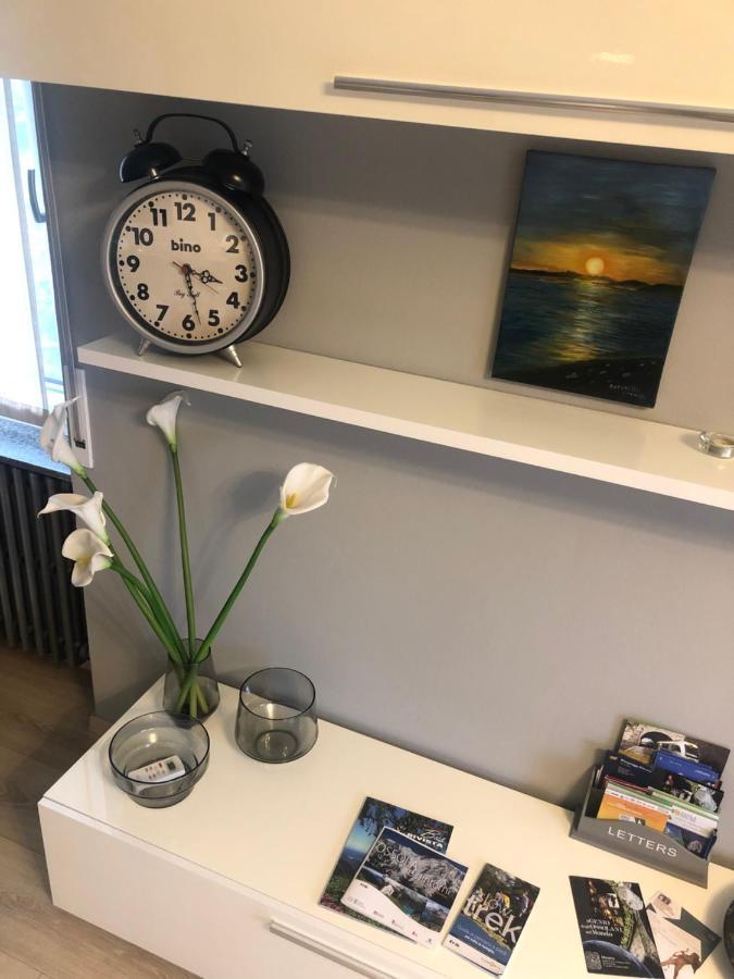 "La Bella Della Cappuccina" Casa Con Parcheggio Interno Gratuito Apartman Domodossola Kültér fotó